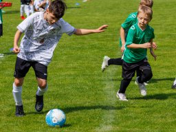 Hillen Cup 2024